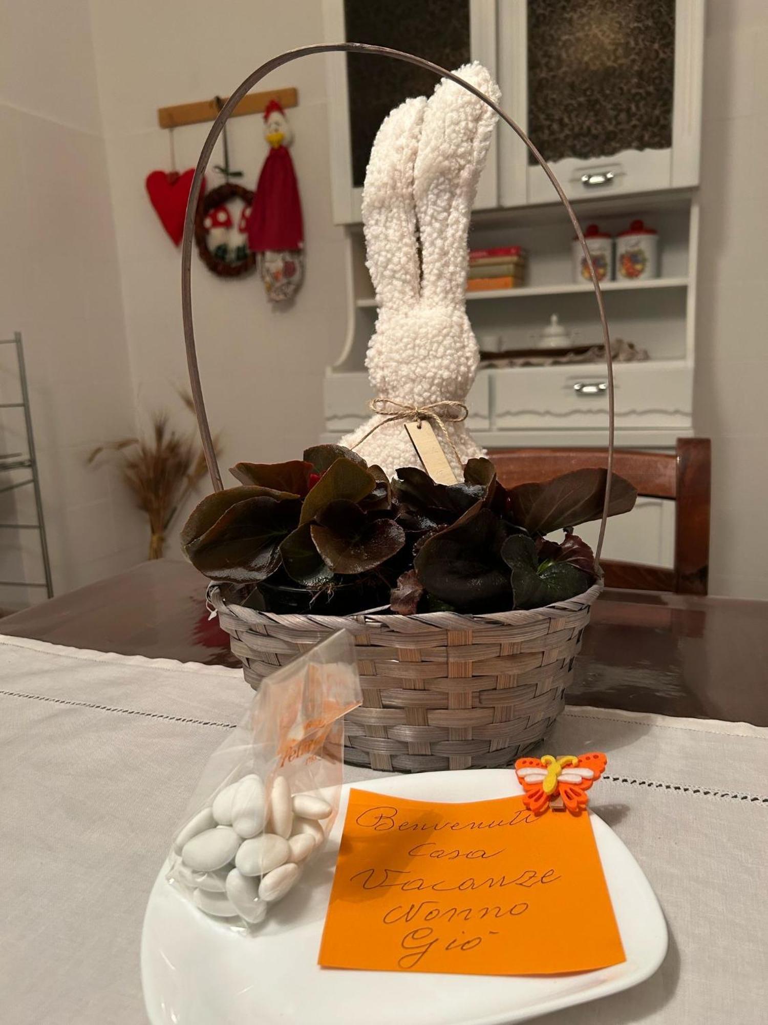Nonno Gio Сasa de vacaciones *